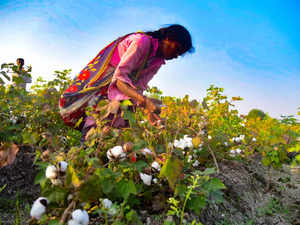 Cotton industry operating below capacity, wants import duty junked