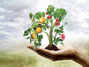 Budget may provide funds to encourage agri startups