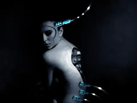 The model