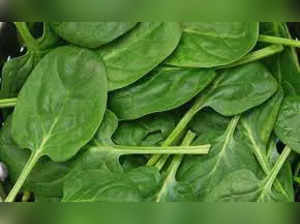 Contaminated Spinach provokes hallucinations and sickness in Australia, nine critical