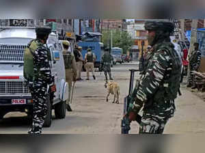 Jammu and Kashmir Protest: Firing outside Army camp in Jammu & Kashmir's Rajouri, two civilians killed