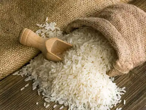 Chaman Lal Setia Exports