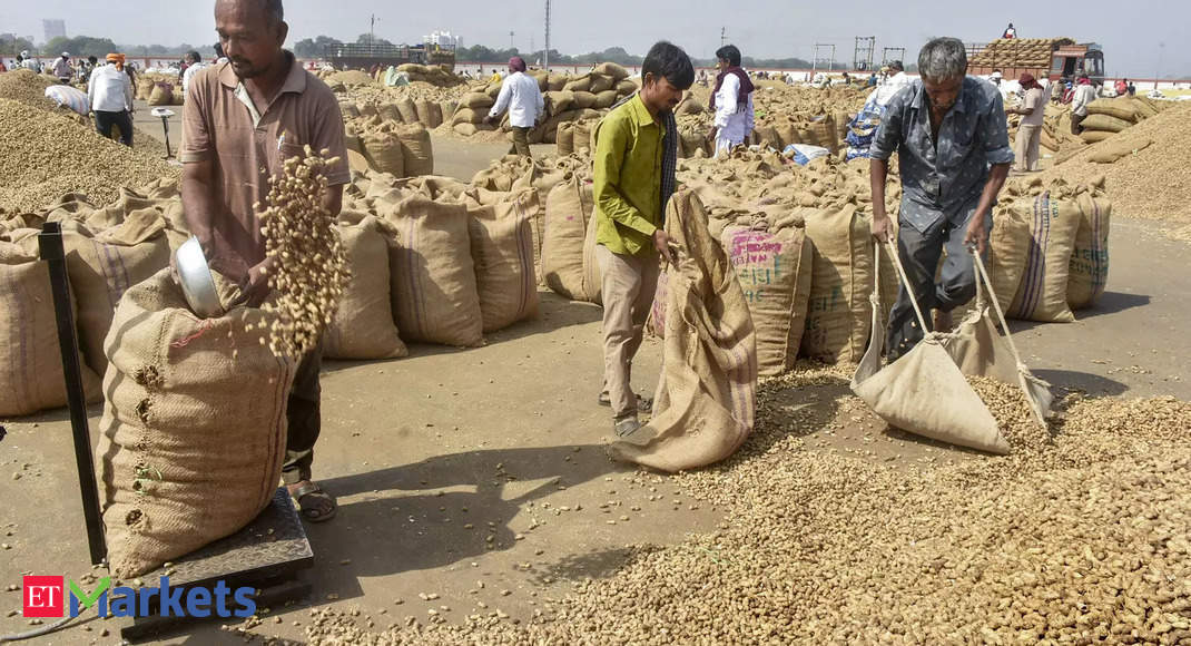 Commodity Watch: Decoding the declining Indian soybean meal exports growth