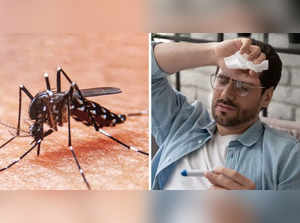 What is the Difference between Zika Virus, Dengue, Chikungunya? Know symptoms