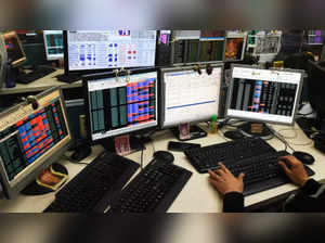 Stocks with highest market gains for investors