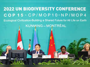 Un Biodiversity Conference: COP15 UN Biodiversity Summit, Montreal ...