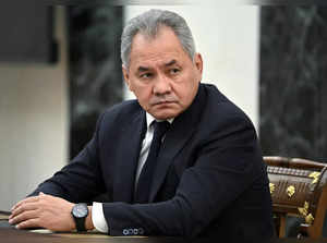 FILE PHOTO: Russian Defence Minister Sergei Shoigu attends a meeting with Russian President Vladimir Putin in Moscow