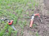 Another Pak drone shot down by BSF along Punjab border
