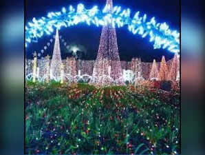 Southwest Florida: Where can you enjoy holiday lights & displays from Dec 23 to 25?