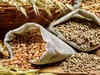 Cabinet approves distribution of free food grain till December 2023