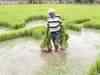 Monsoon rains 26% above normal in past week: Met dept