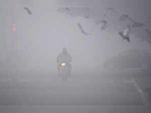 In pics: Visibility hit as dense fog shrouds Delhi