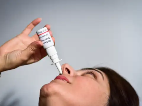 How does it work?