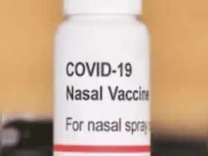 intranasal Covid vaccine