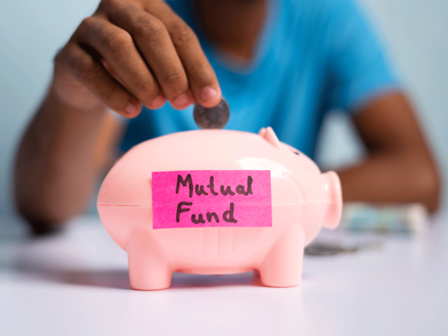 What mutual funds do