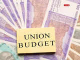 Budget 2024 date and time: Here're answers to common budget-related questions 1 80:Image