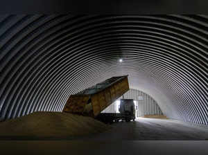 UN reports progress on Russia's grain and fertilizer exports