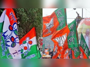 BJP, TMC workers clash ahead of rival rallies in West Bengal