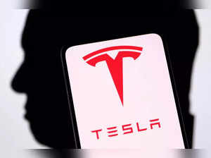 FILE PHOTO_ Illustration shows Tesla logo and Elon Musk silluete.