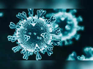 2022 saw the rise of multiple viral infections that are here to stay