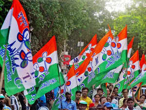 TMC flags