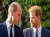 Prince Harry desires to reunite with father, brother, says report