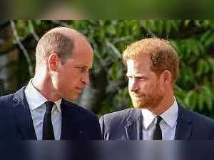 Prince Harry desires to reunite with father, brother, says report