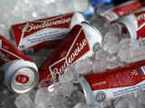 Budweiser and Kingfisher makers flag high taxes, poor access for slower India growth