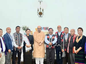 Nagaland: Naga People want "Solution not Election", says NNPG