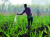 Policy changes likely to push low-cost urea production