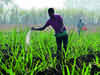 Policy changes likely to push low-cost urea production