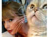 Pawsitive vibes! Taylor Swift's cat Olivia is world's 3rd wealthiest pet with net worth of $97 mn