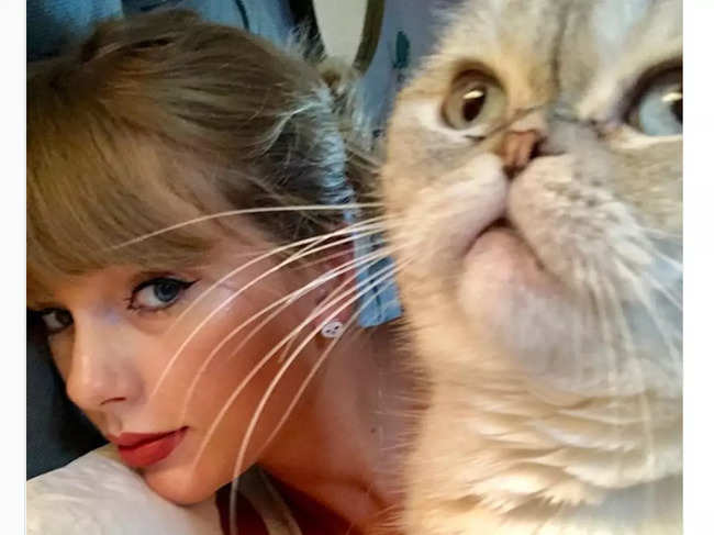 Taylor Swift often treats ​her fans 239 million followers on Instagram with picture of her pet cats. (In pic: ​Swift with Olivia)​