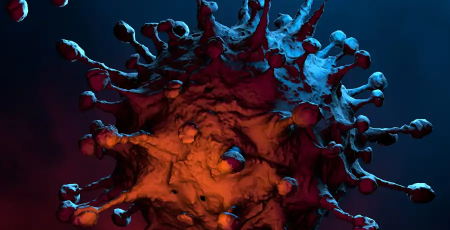 xbb.1.5: Kraken: The new Covid variant causing concern and all we know ...