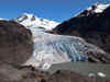 4 out of 5 glaciers may be lost by 2100: Study