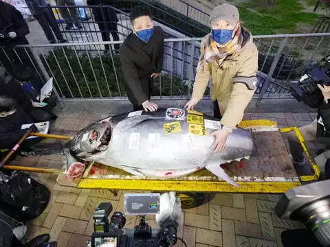 ​212-kilo bluefin tuna