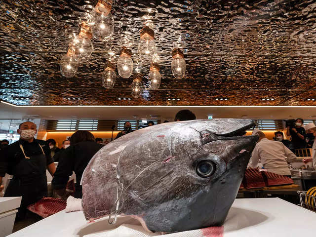 ​Tuna@$270,000