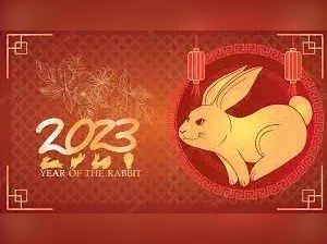 Chinese New Year 2023: Chinese New Year: Check Chinese Zodiac animal for  2023 celebrations - The Economic Times