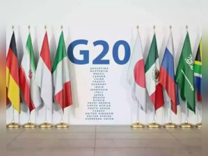 G20 task force of finance and health begins work on India's global health priorities for 2023
