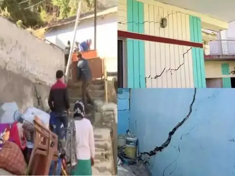 Scientist blames constructions