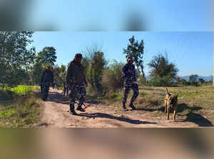 Rajouri_ CRPF troops conduct 'Area Combing Operation' in Dhangri village of Rajo....