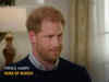 Want a family not an institution: Prince Harry