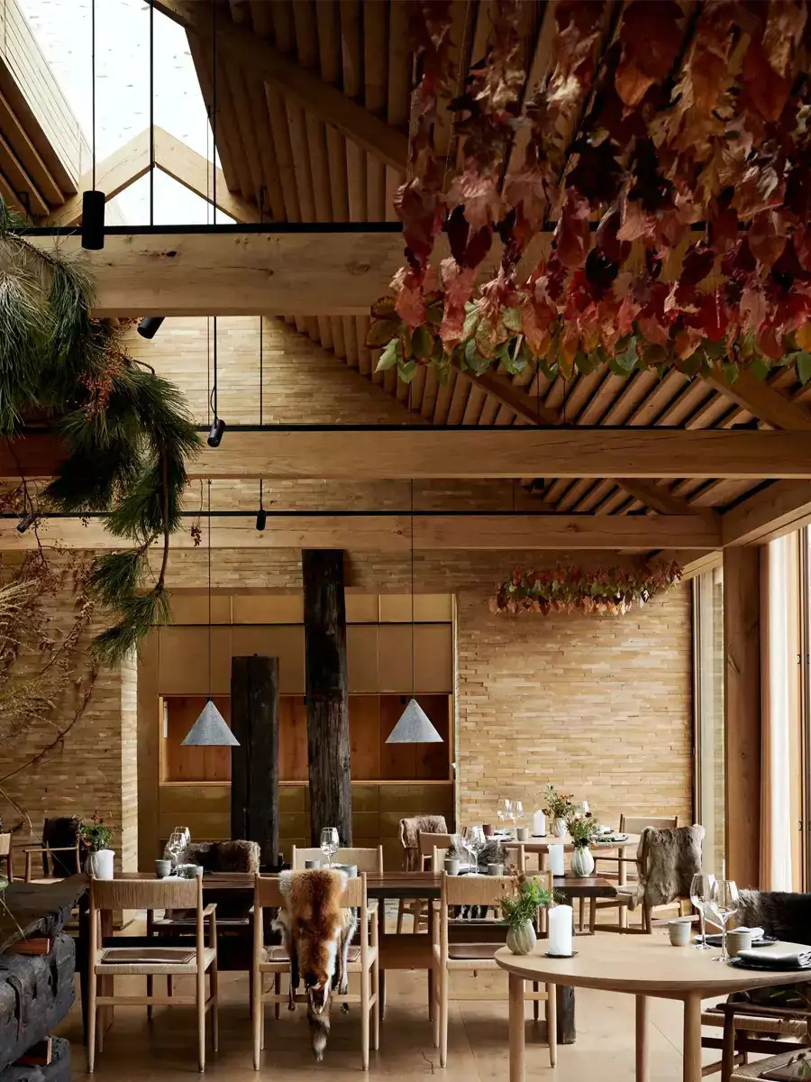 Noma restaurant Why Noma, one of the world's best restaurants, is