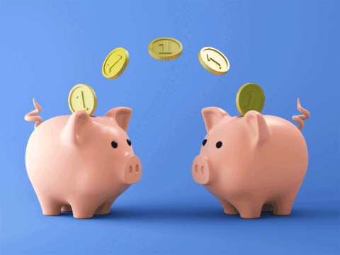 SIP contribution in December