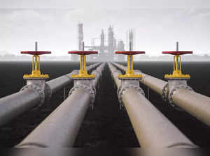 Price volatility may affect India’s target of increasing natural gas’ energy share: Fitch