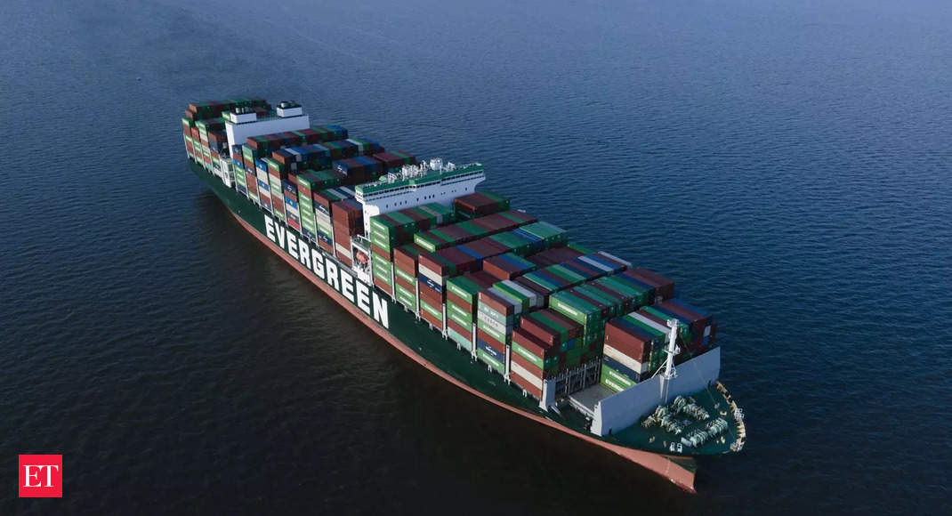 World’s biggest container ship skips India in blow to trade aims