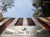 Uzbekistan Cough Syrup Case: Marion Biotech's production licence suspended, test results awaited