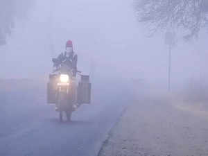 Cold wave likely to re-emerge over North-West India from January 15: IMD Scientist