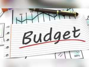 Budget 2023: Divestment focus should be on achieving value not targets, believe Economists