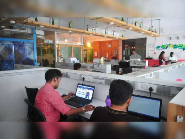 IT companies hire record number of freshers